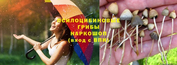 твердый Алексин