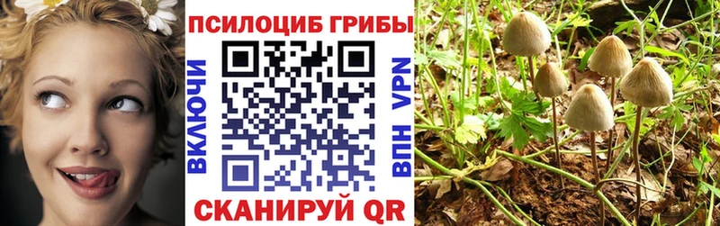 даркнет как зайти  Бронницы  Псилоцибиновые грибы Magic Shrooms 